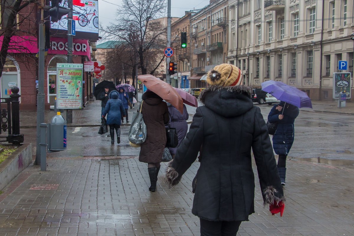 Так боятся намокнуть, что аж на красный бегут