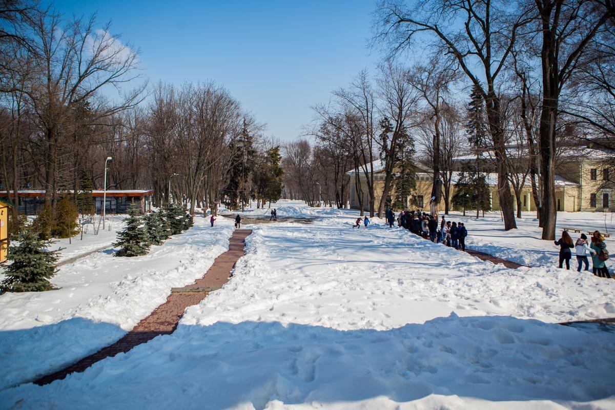 В парке по-прежнему много зелени