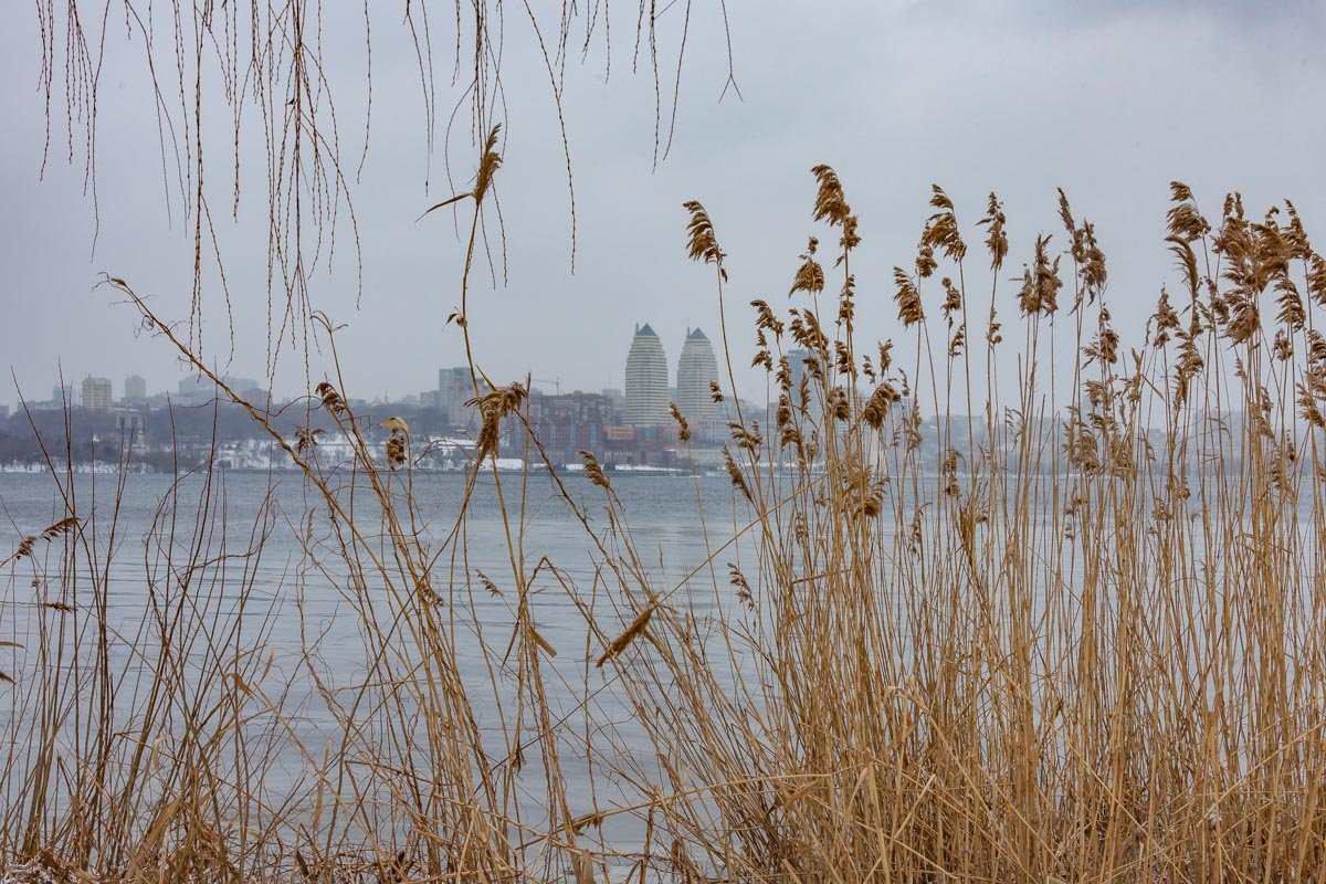 Шумел камыш, деревья гнулись, морозы снова к нам вернулись