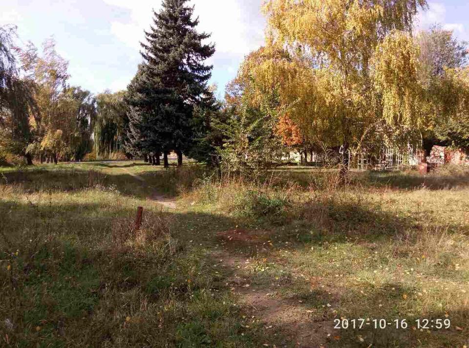 Дороги в парке заросли и стали непроходимыми Дороги в парке заросли и стали непроходимыми