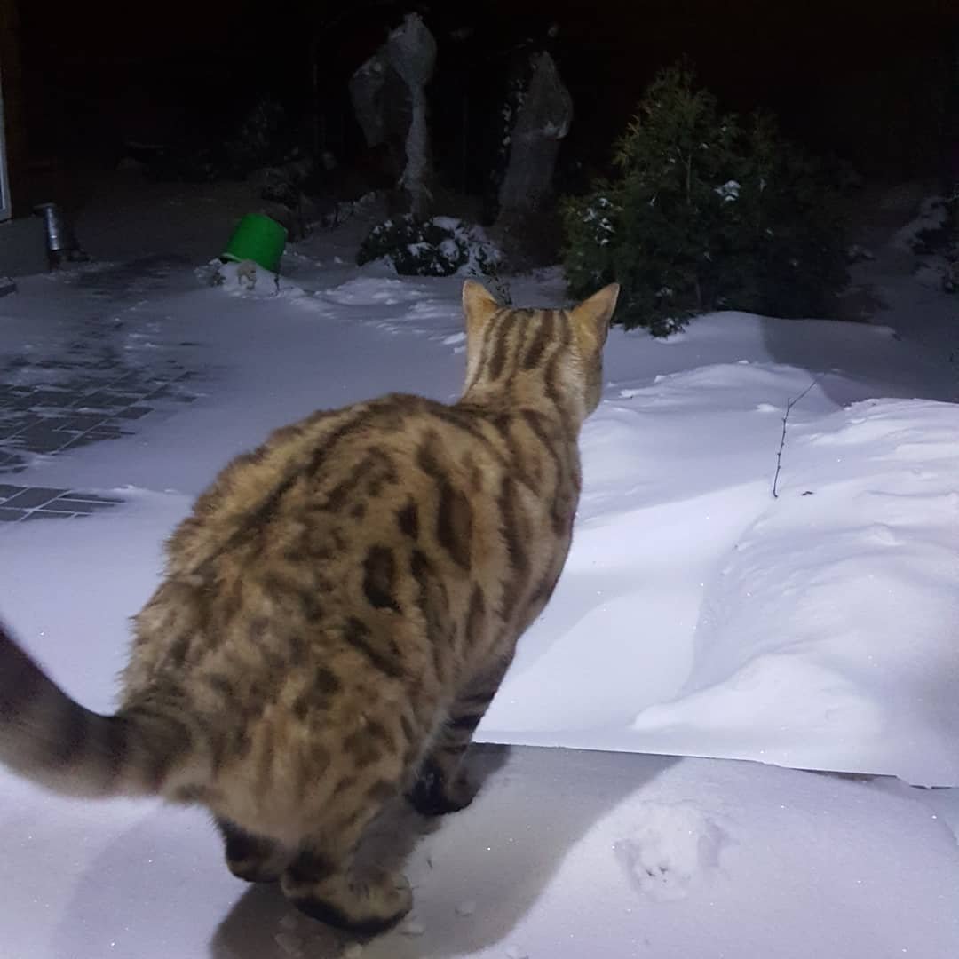 Как отреагировали жители Днепра на непогоду в Instagram 14