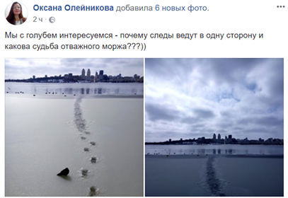 А мы уже писали о рыбаках... Трижды А мы уже писали о рыбаках... Трижды