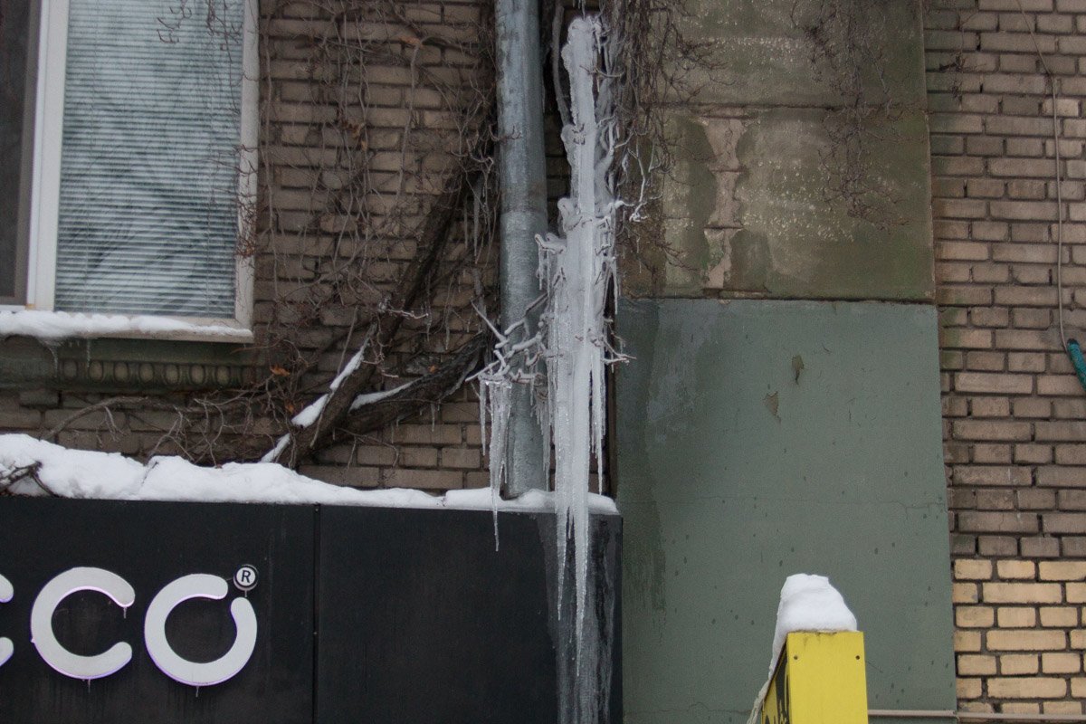 Они уже близко