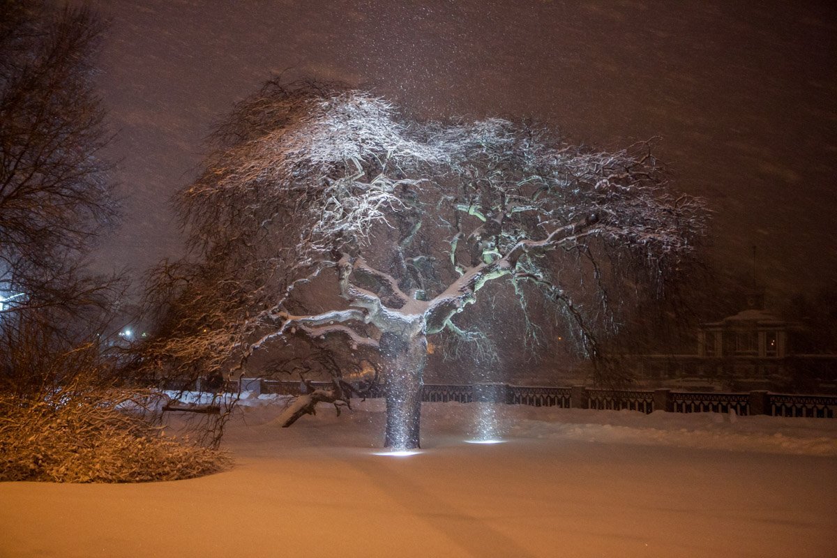Фото: Евгений Ошарин