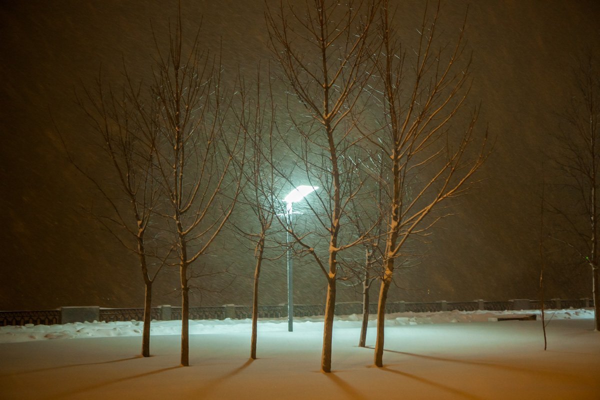 Именно ночью все то, что скрыто во тьме, может дорисовать наше воображение