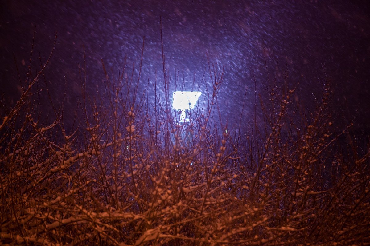 Наткнуться на что-то необычное можно, просто выйдя на улицу и оглянувшись вокруг