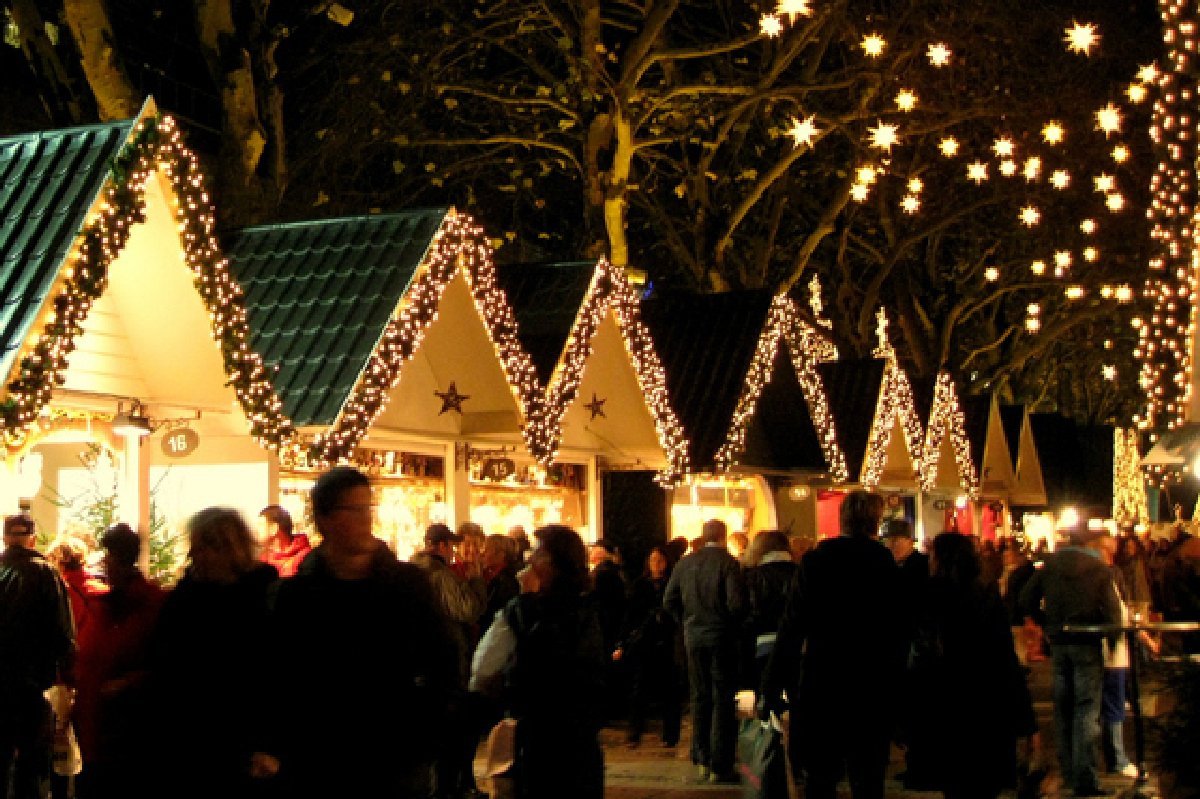 В парке круглый год можно будет вкусно и полезно поесть В парке круглый год можно будет вкусно и полезно поесть