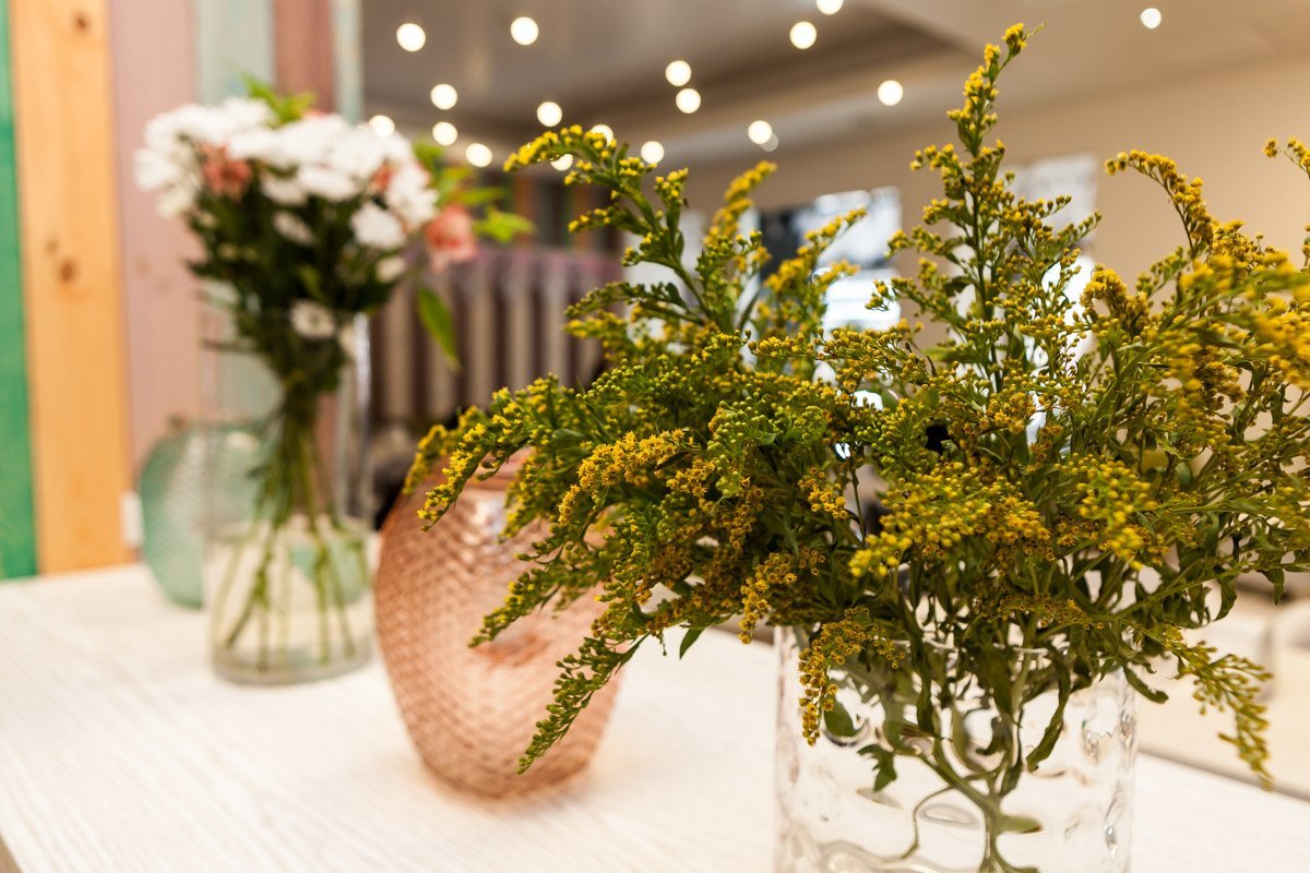 Цветы украшают подоконники Цветы украшают подоконники