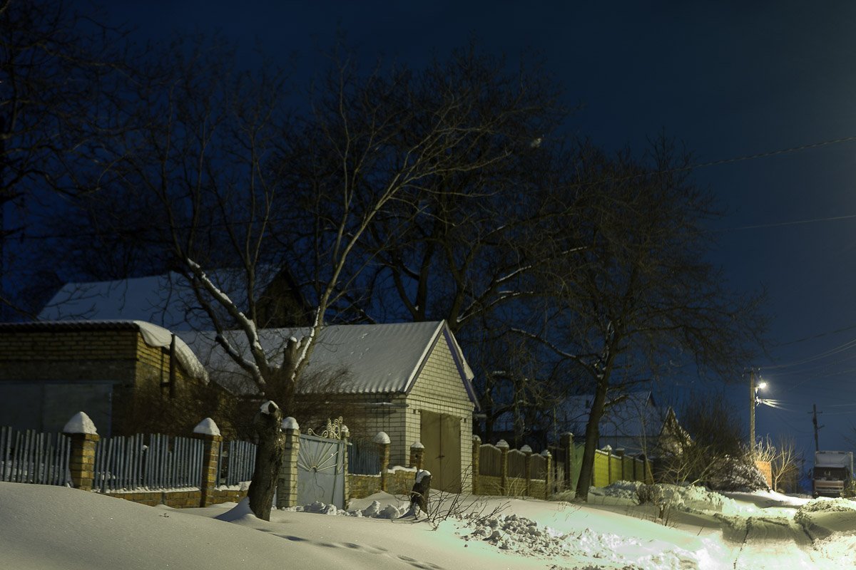 Деревья склонились в зимней спячке