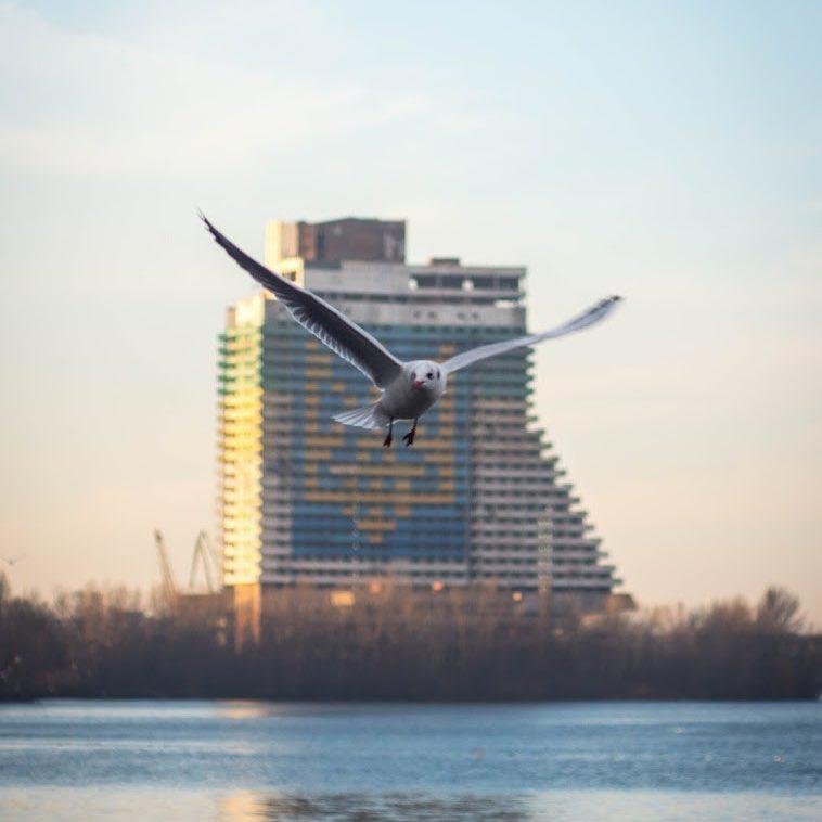Парус. Фото: alexandrbaranets