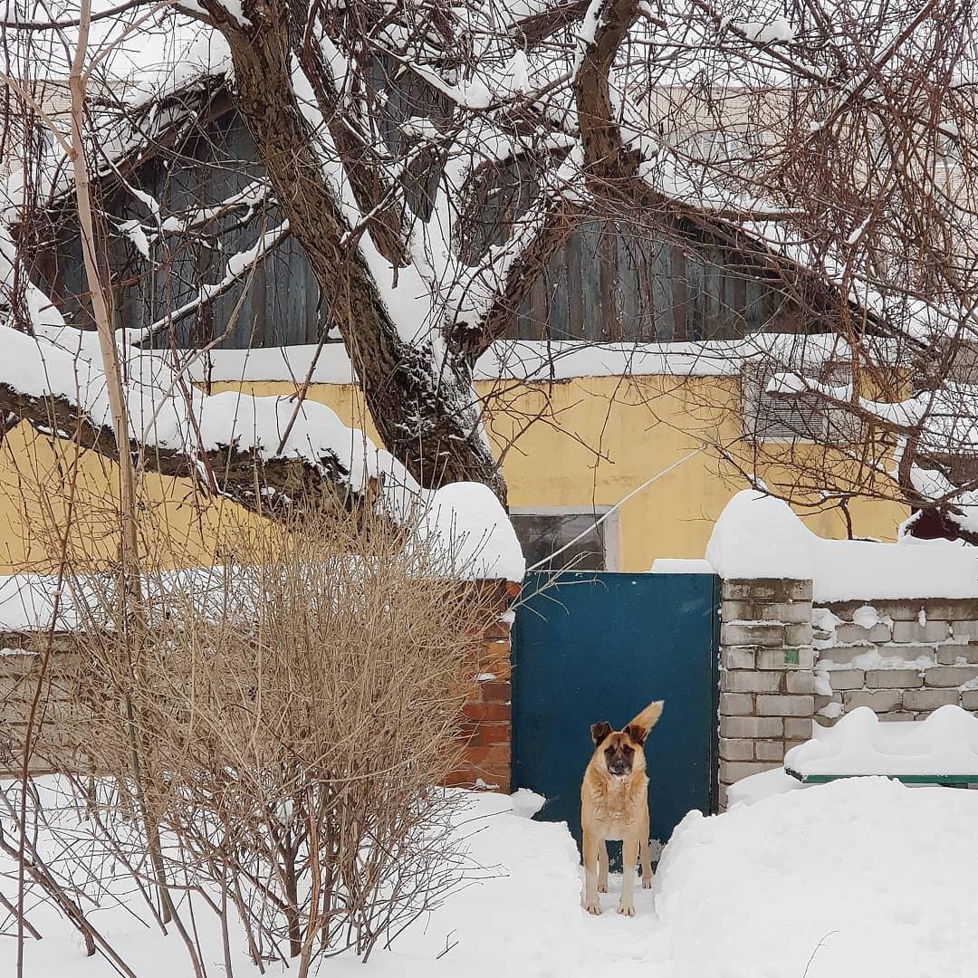 Охранник. Фото: deniska_ua