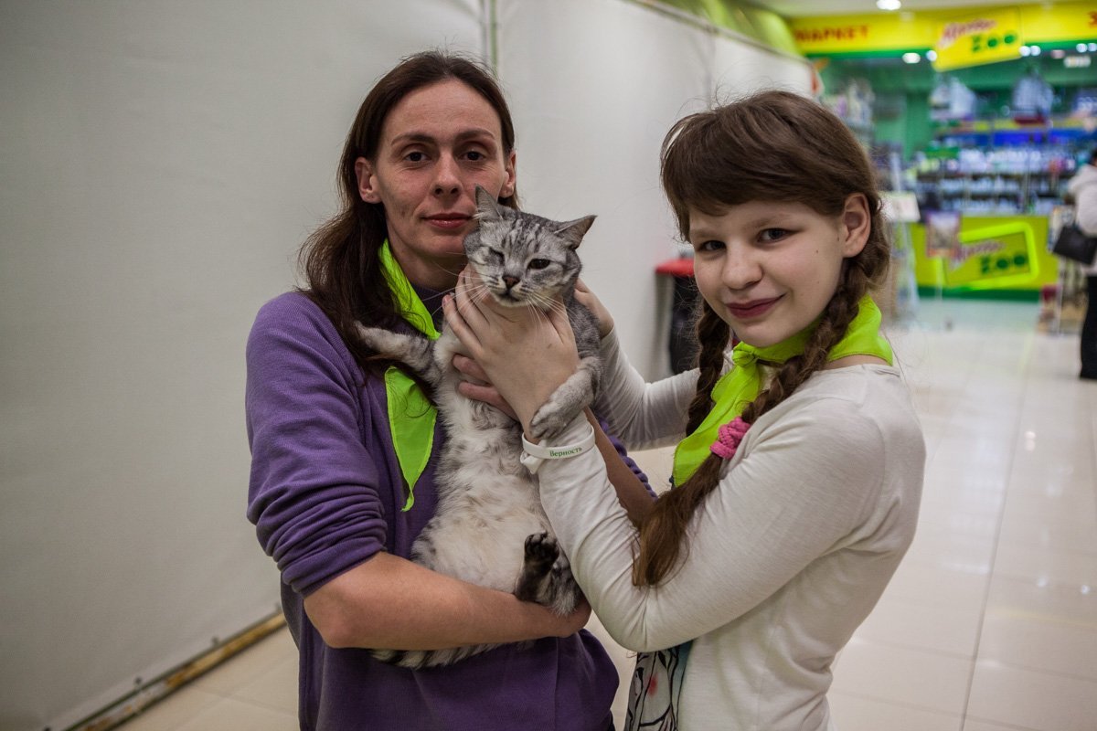 Все животные очень добрые и ласковые Все животные очень добрые и ласковые