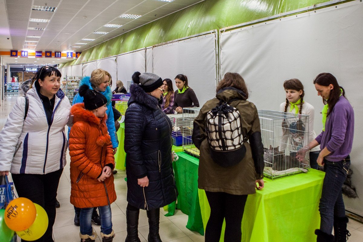 Люди с интересом обращают внимание на животных Люди с интересом обращают внимание на животных