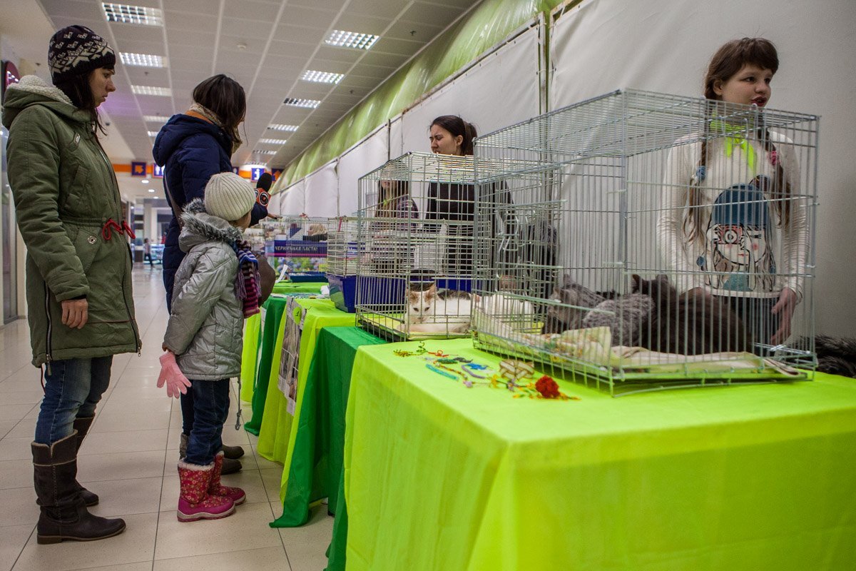 Никто не может устоять и пройти мимо Никто не может устоять и пройти мимо