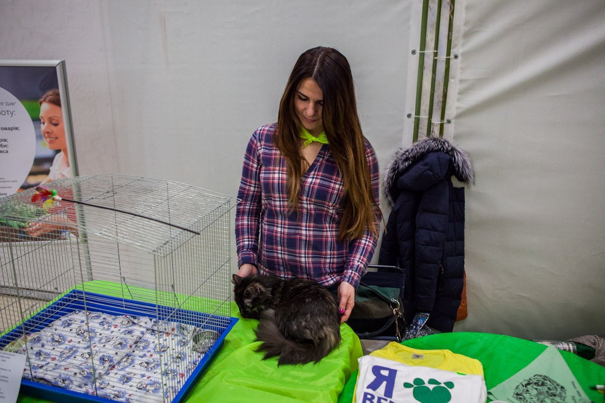 Фото: Евгений Ошарин Фото: Евгений Ошарин