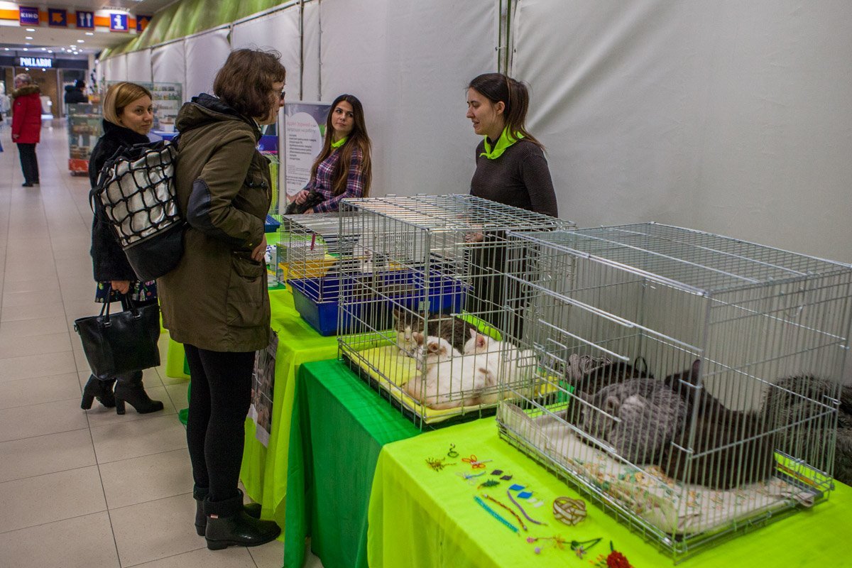Невозможно пройти мимо такой красоты Невозможно пройти мимо такой красоты