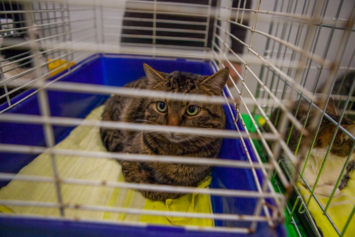 Только посмотрите в эти глаза! Только посмотрите в эти глаза!