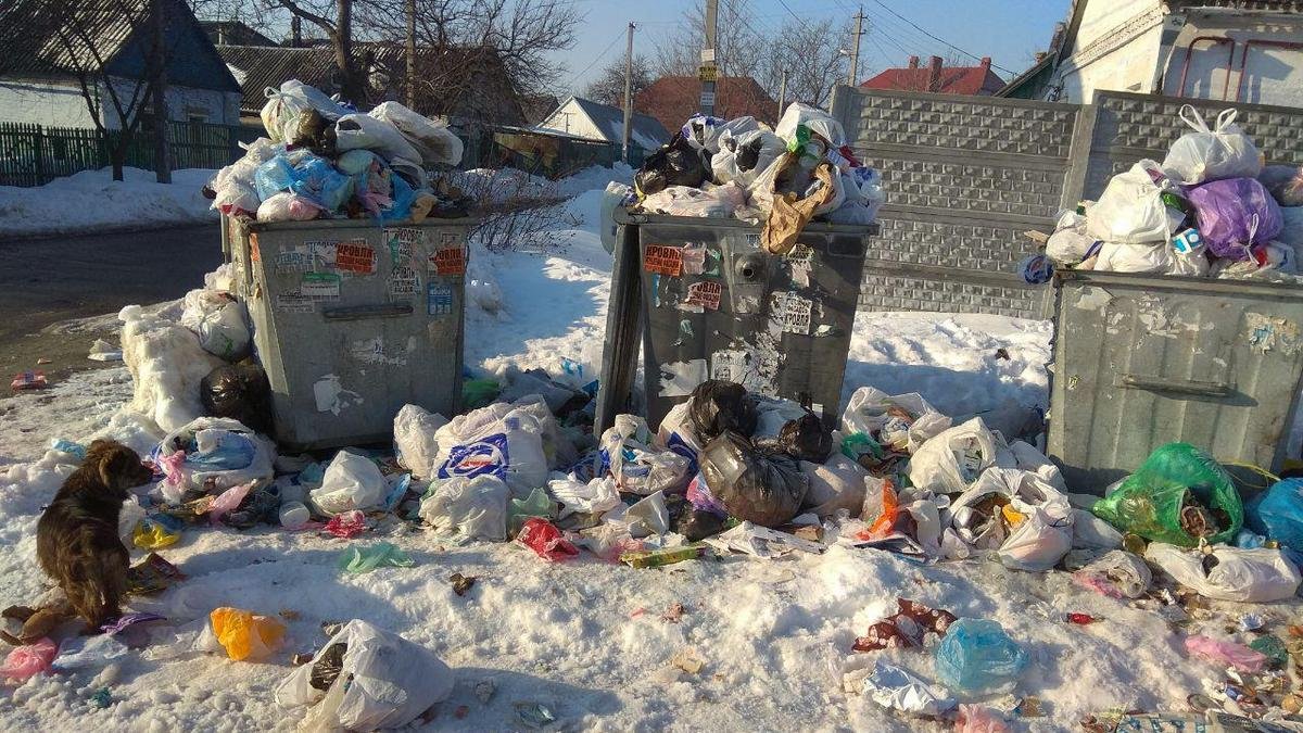 Мусорные баки на перекрестке переулка Студенческого и улицы Победы Мусорные баки на перекрестке переулка Студенческого и улицы Победы