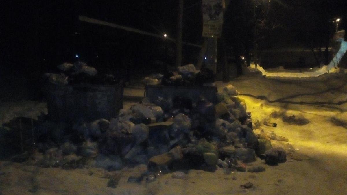 Свалка на проспекте Александра Поля, 24 Свалка на проспекте Александра Поля, 24