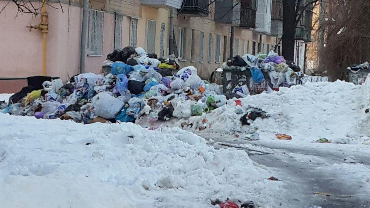Свежие Свежие