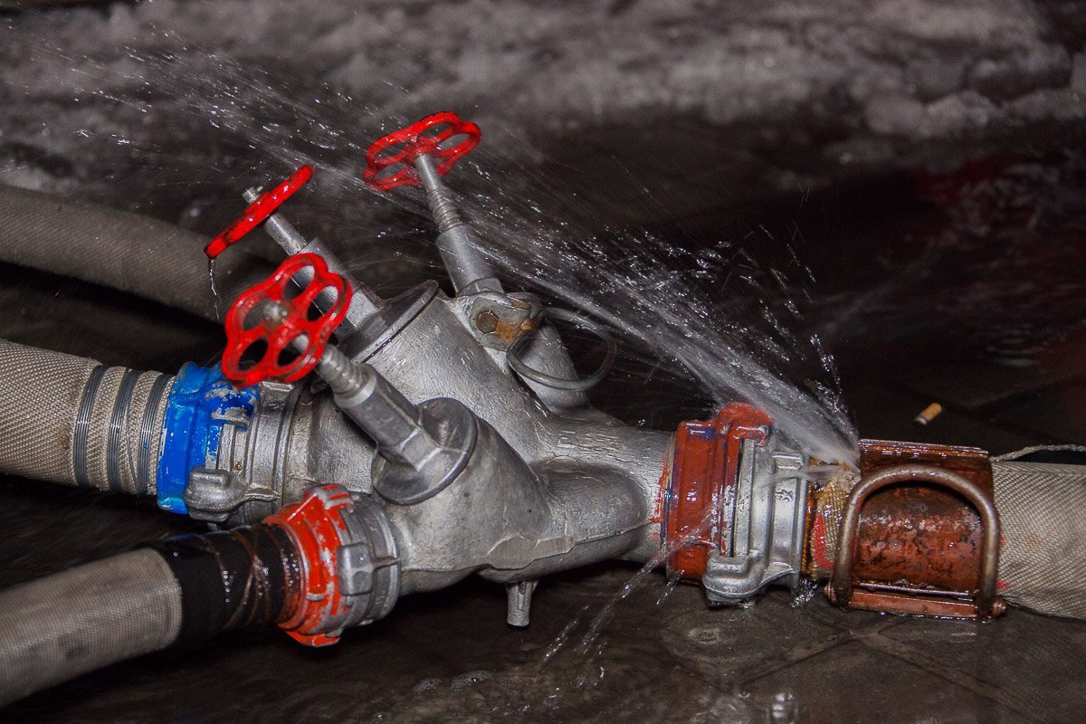 Фото: Александр Лаур