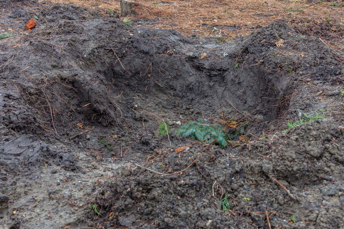 Работы начались примерно неделю назад