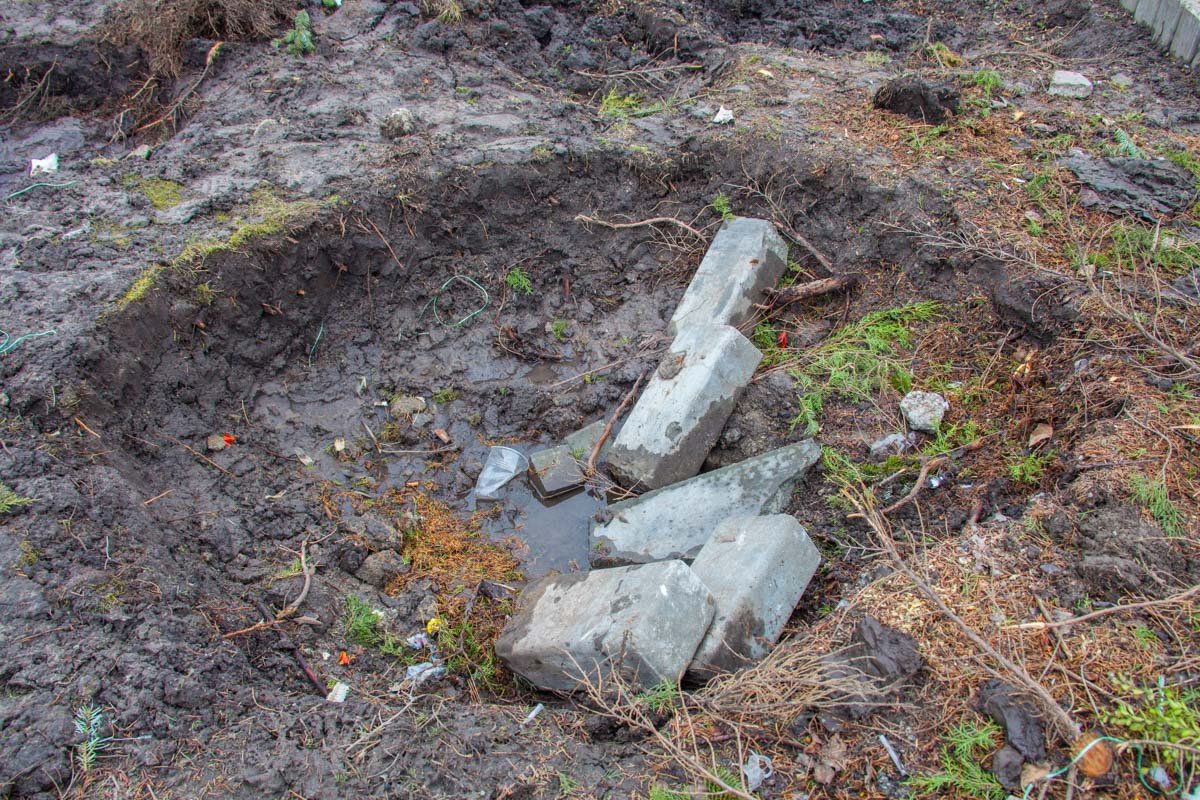 Судя по следам на клумбе можно предположить,что растения пересадили