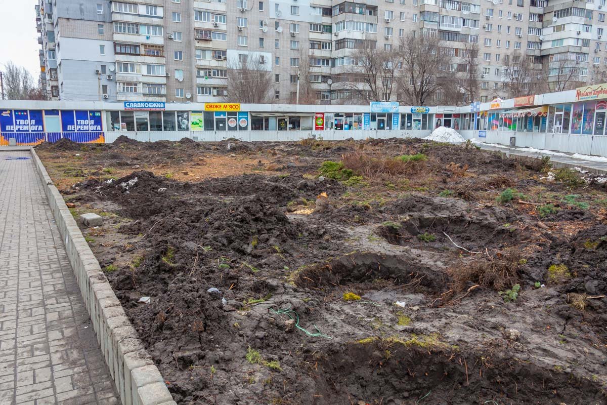 Сейчас некогда зеленая зона выглядит так