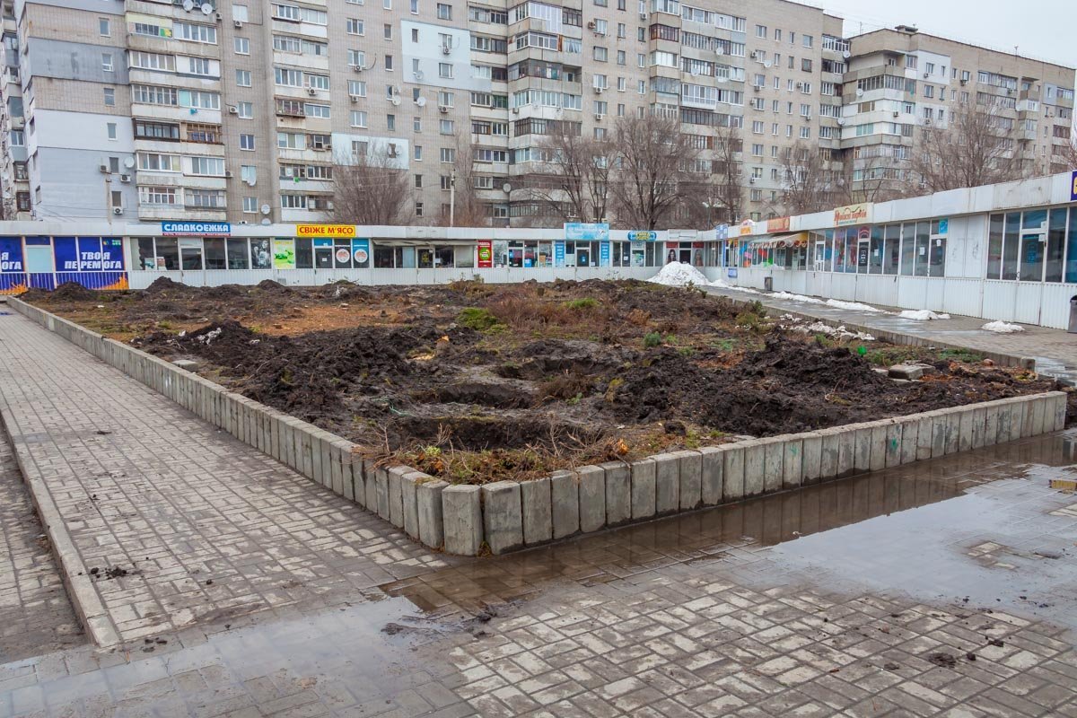 Самой важной проблемой, по мнению жителей Янтарной и близлежащих улиц, является вырубка зеленого уголка
