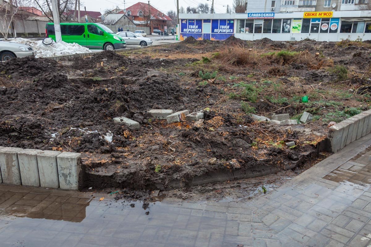 Люди рассказывают, что раньше здесь росла облепиха