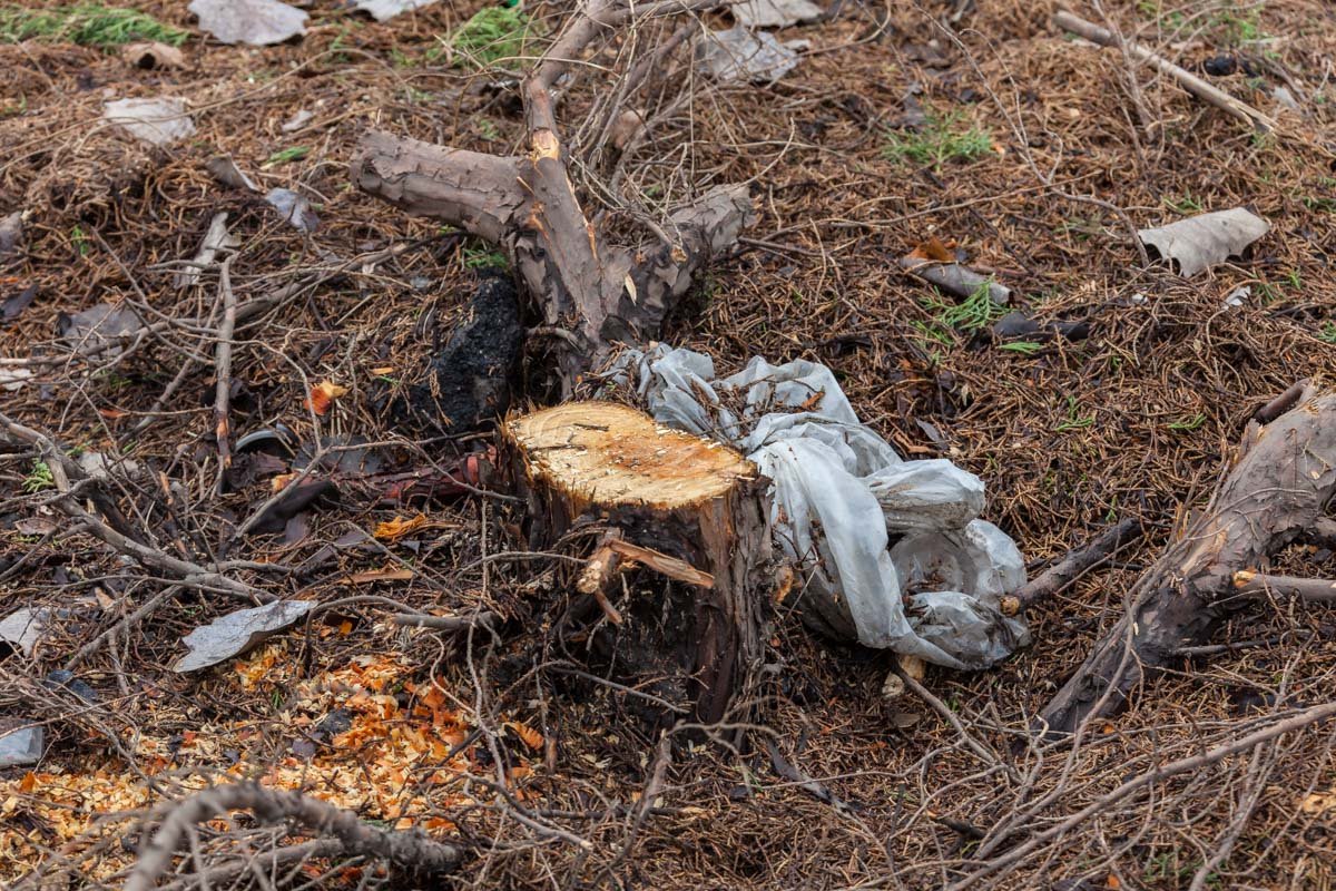 Большинство жильцов, даже крайне возмущенных, не обращались за помощью и консультацией в какие либо инстанции