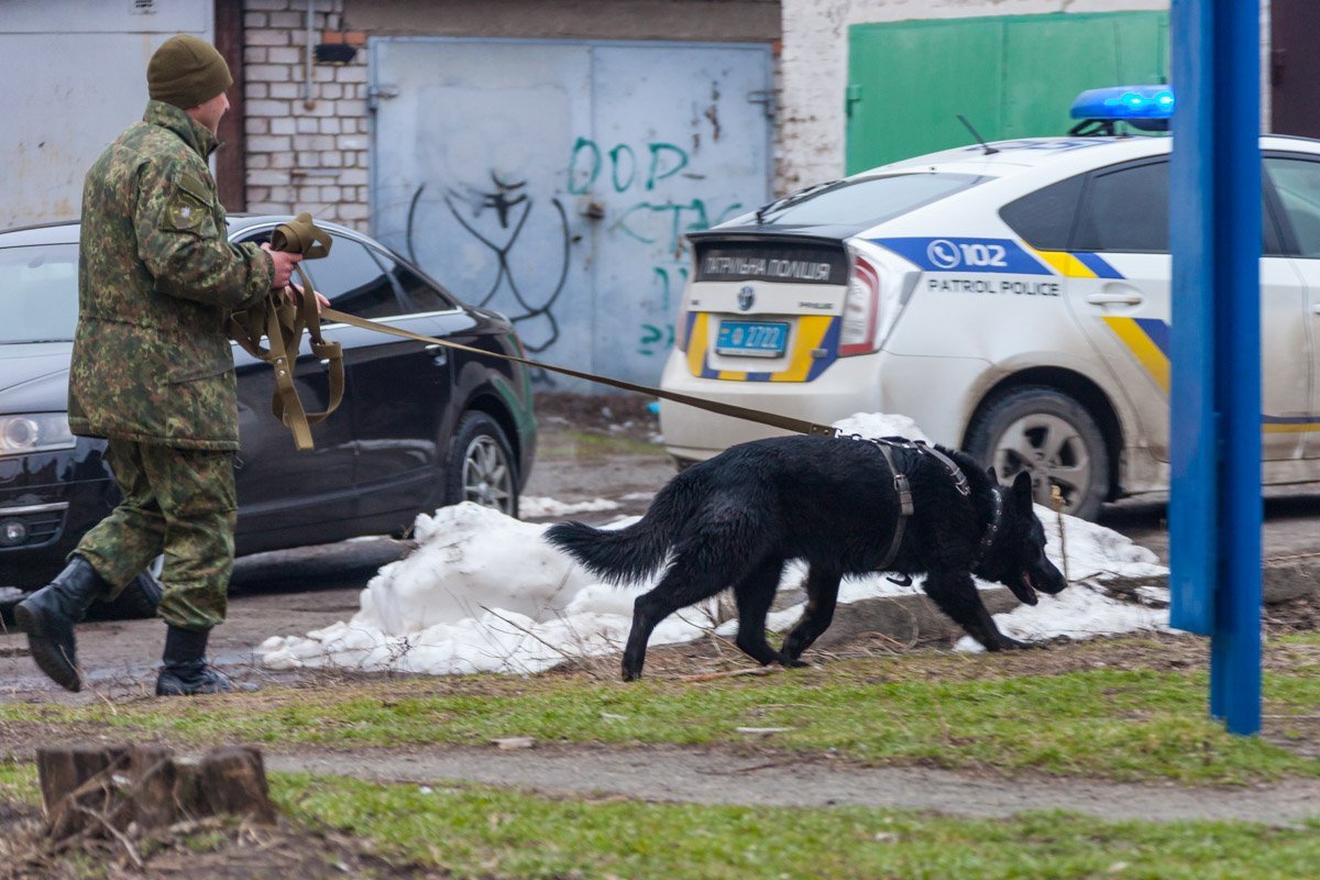 На месте инцидента работают правоохранители со служебной собакой