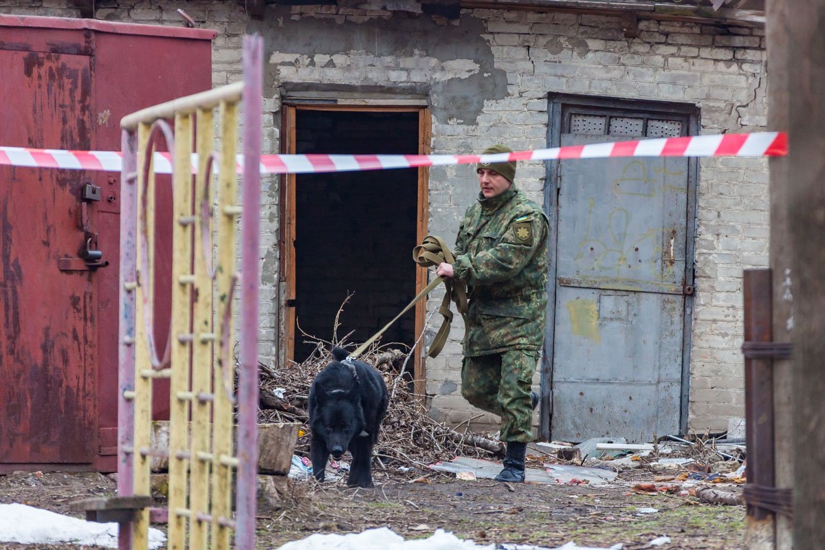 Овчарка взяла след и направилась по улице Василия Чапленка