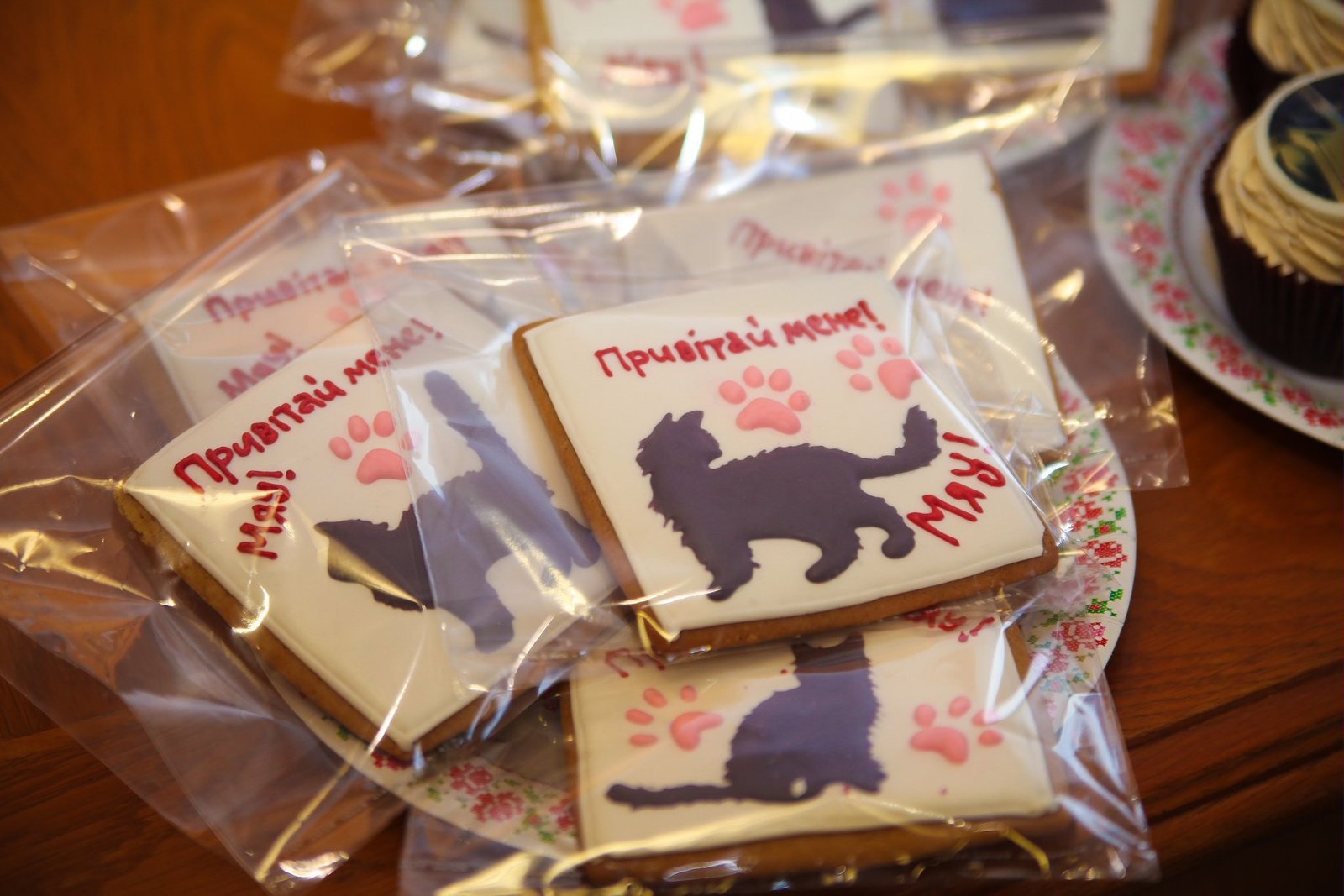 Любой желающий может поздравить маленькую тигрицу