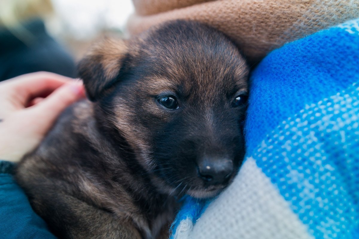 Они не виноваты в том, что оказались на улице Они не виноваты в том, что оказались на улице