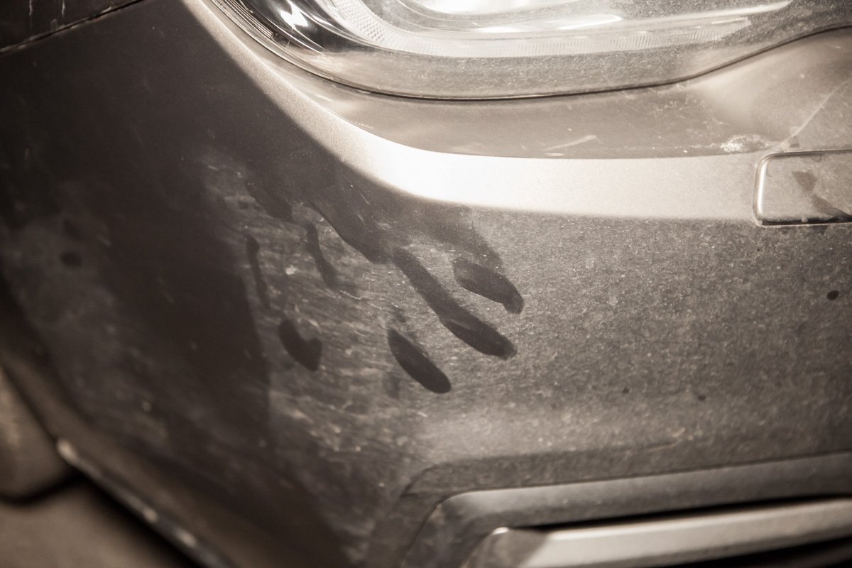 Фото: Евгений Ошарин