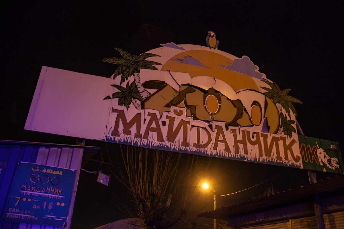 Инцидент произошел на рынке Привокзальный на территории зооплощадки Инцидент произошел на рынке Привокзальный на территории зооплощадки