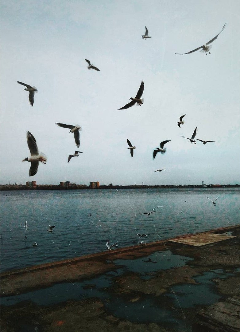 Меланхолия мегаполиса. Фото: isdatalex