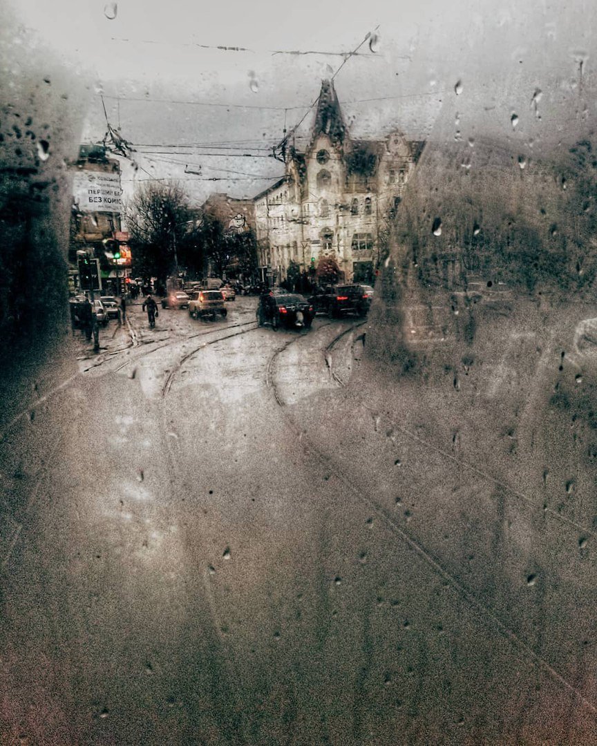 Спокойствие. Фото: drunya_7