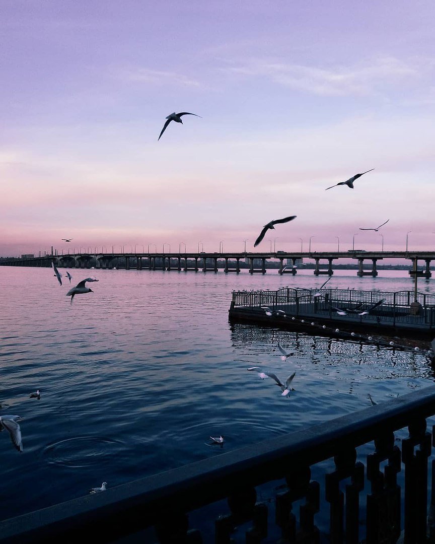 И вот как его, такого, не любить. Фото: anastasiya__oleynikova