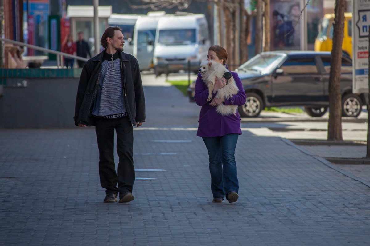 Хозяин, неси меня, у меня лапки