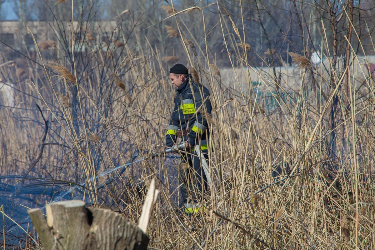 Огонь очень быстро распространился на все поле
