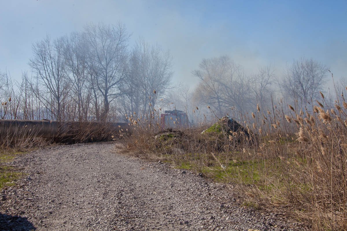 В инциденте никто не пострадал