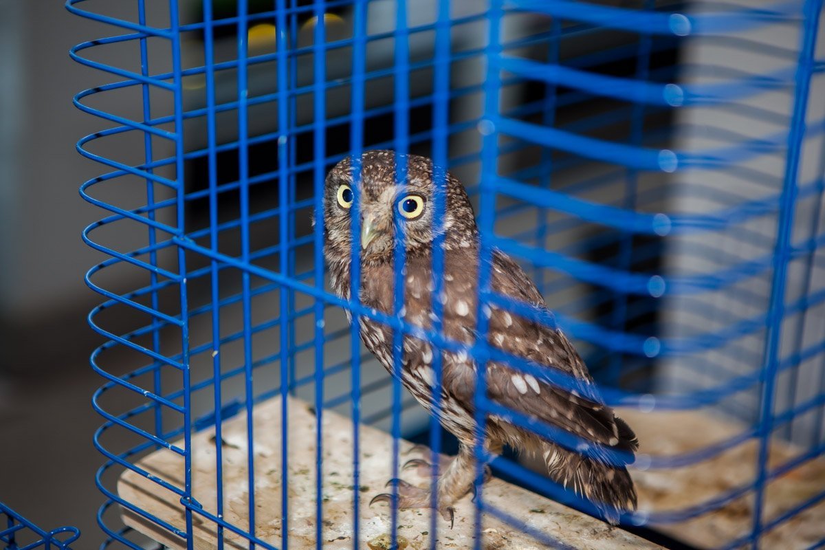 Осознала, что работает в выходной