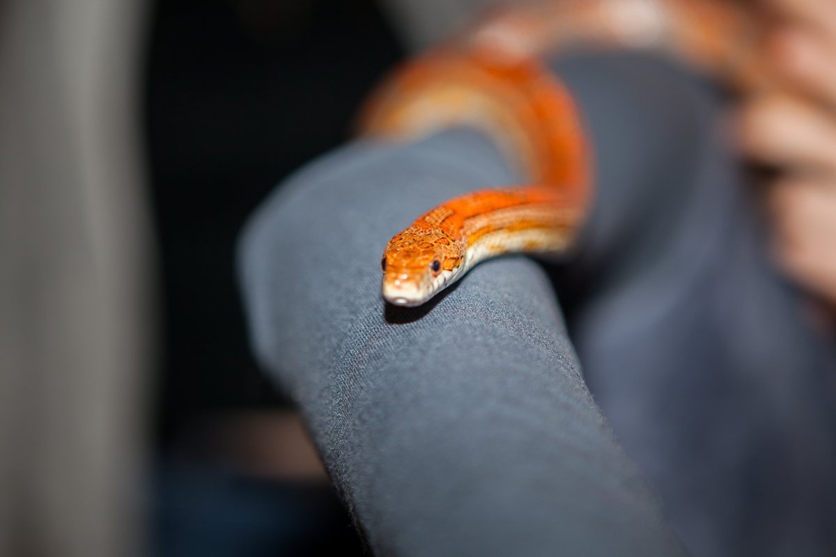 Эй, ты, иди сюда!