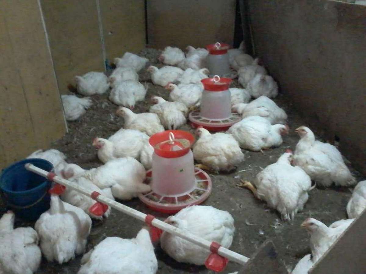 Когда пришло осознание, без чего тебе не прожить