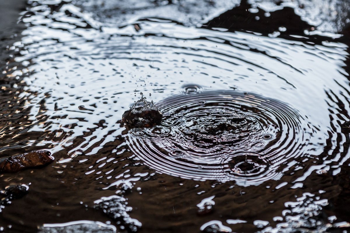 Вслушивайся...