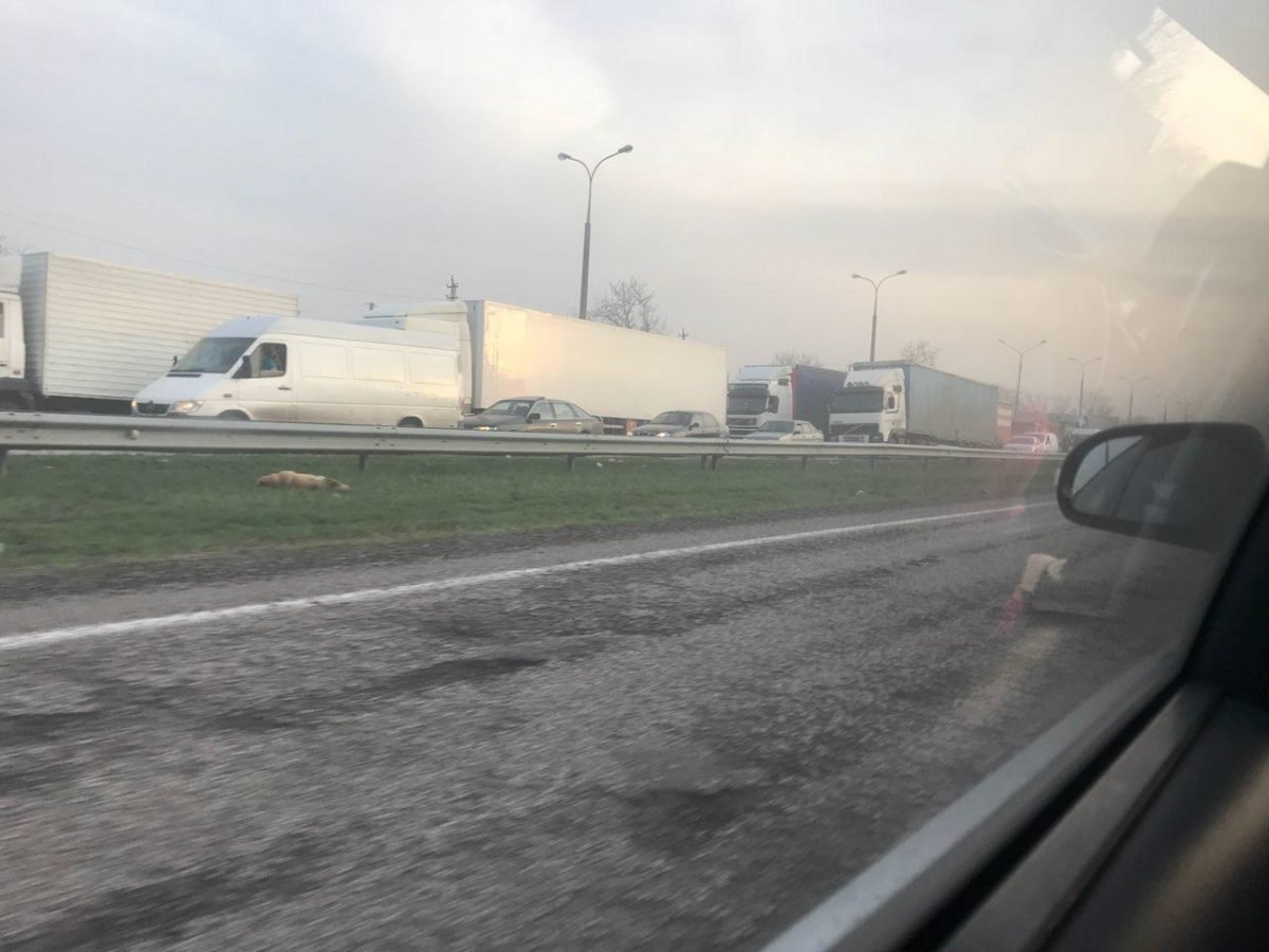 Движение на выезд и въезд из Днепра практически парализовано Движение на выезд и въезд из Днепра практически парализовано