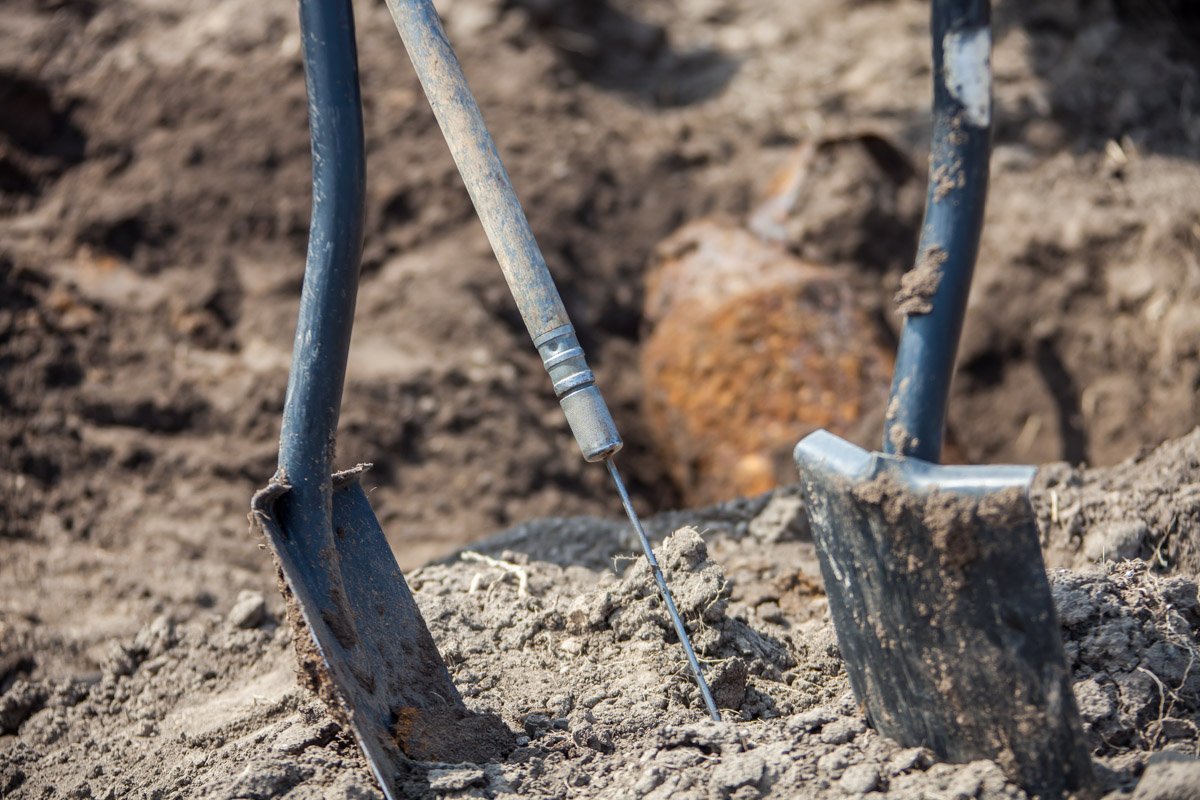 Фото: Андрей Лысенко Фото: Андрей Лысенко
