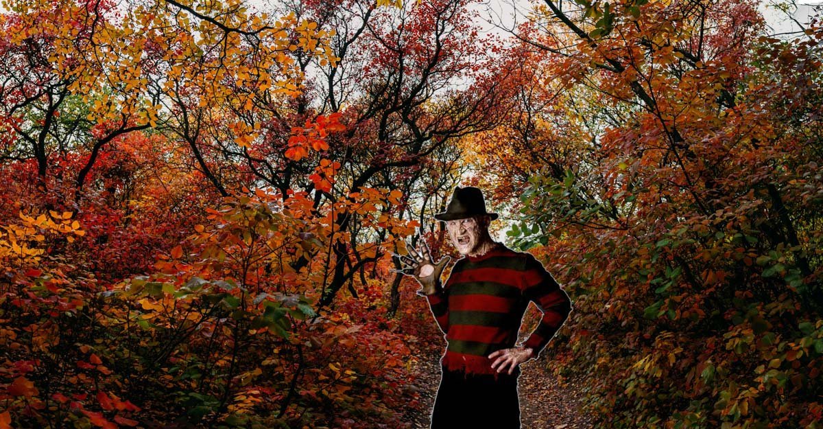 Instagram с весенними фотосессиями - вот, что по-настоящему страшно